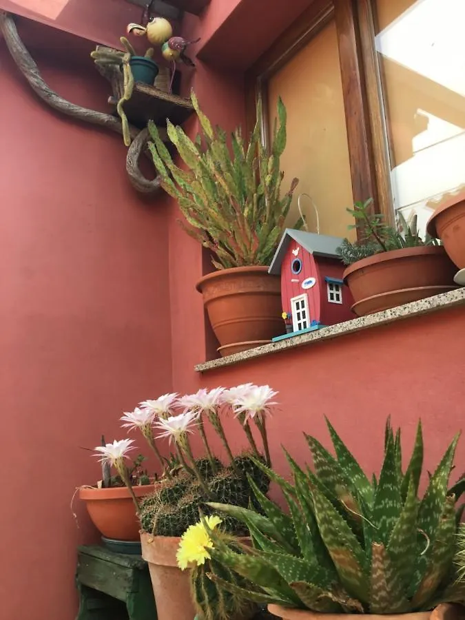 Lakvere Family House Pula Villa